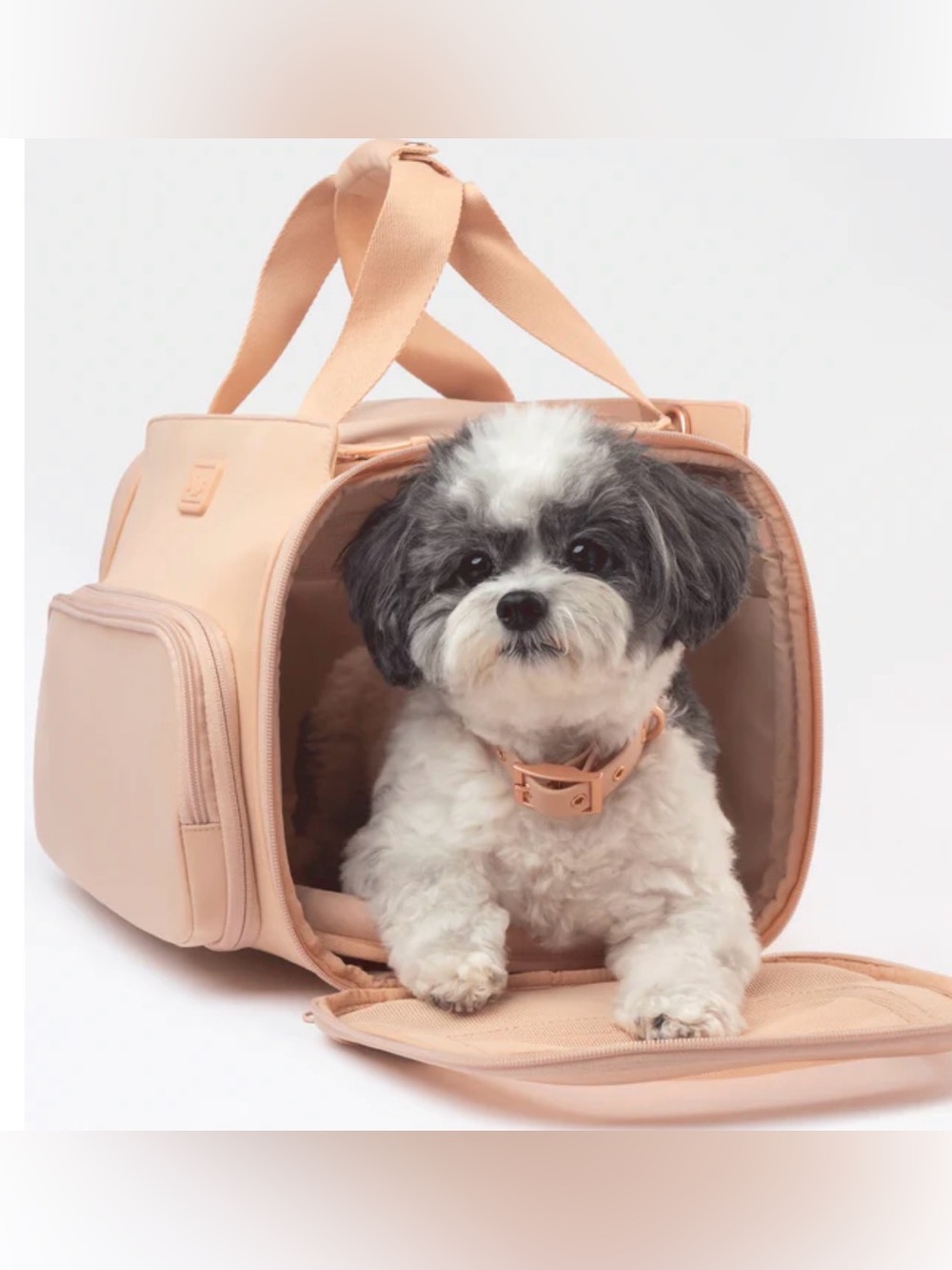 DIGGS PASSENGER DOG TRAVEL CARRIER - BLUSH
